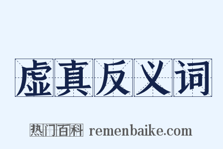 虚真反义词是什么意思的图片